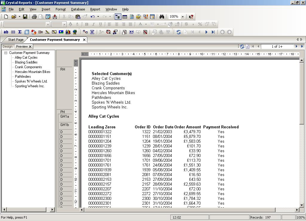 Completed report displaying the parameter description in Crystal Reports